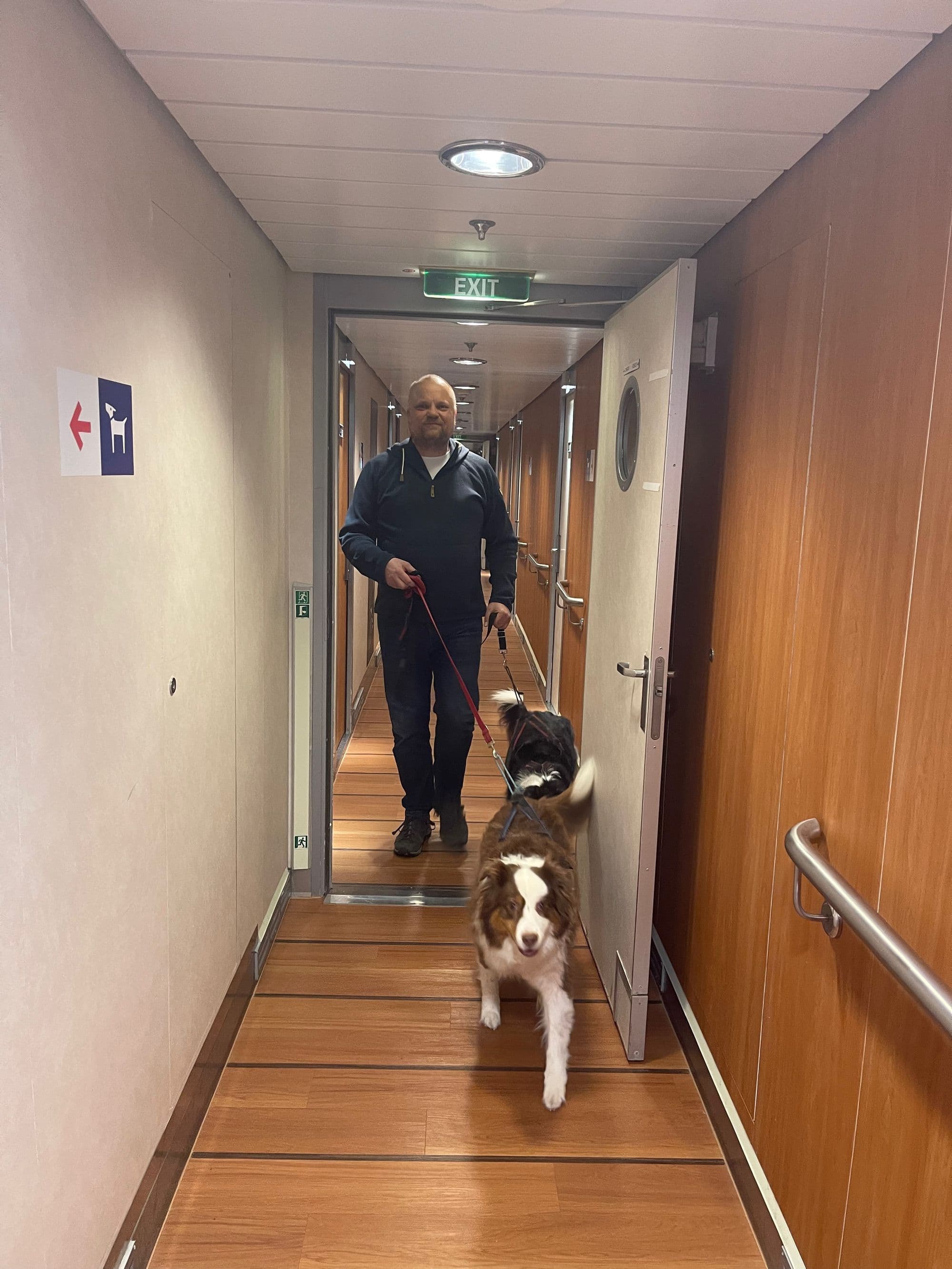 Galerijafbeelding 15