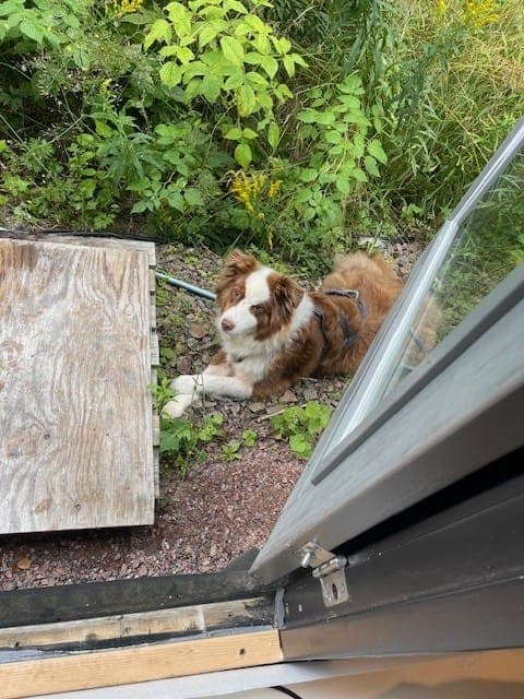 Galerijafbeelding 20