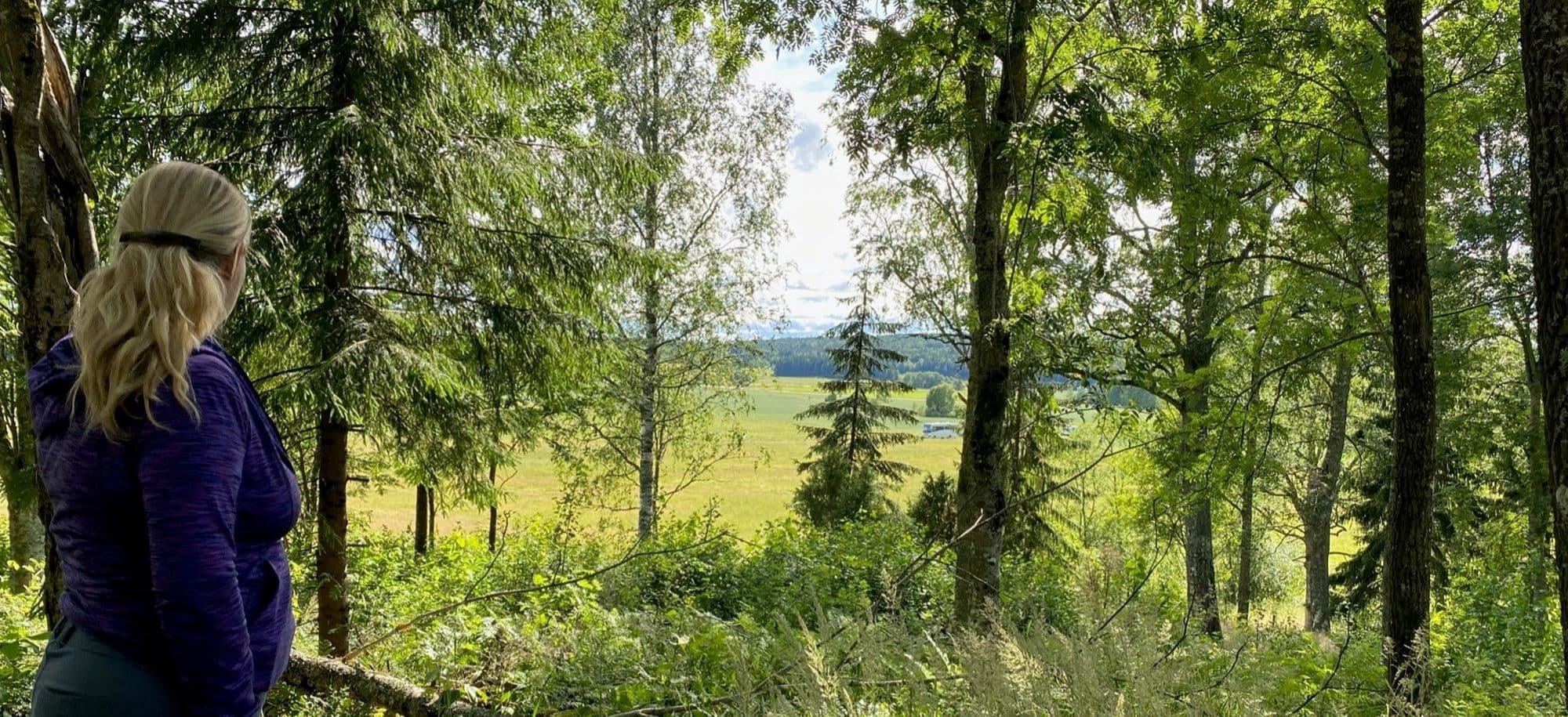 Week 3 - zomer in Zweden