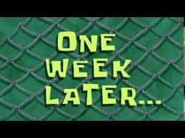 Galerijafbeelding 28