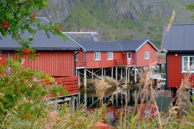 Galerijafbeelding 13