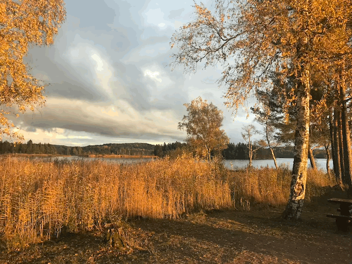 Galerijafbeelding 11