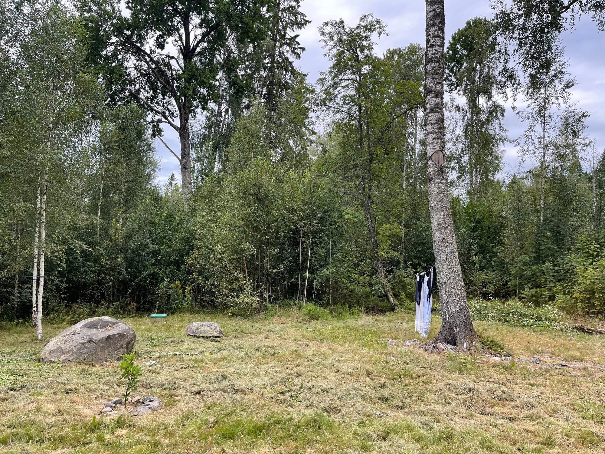 Galerijafbeelding 10