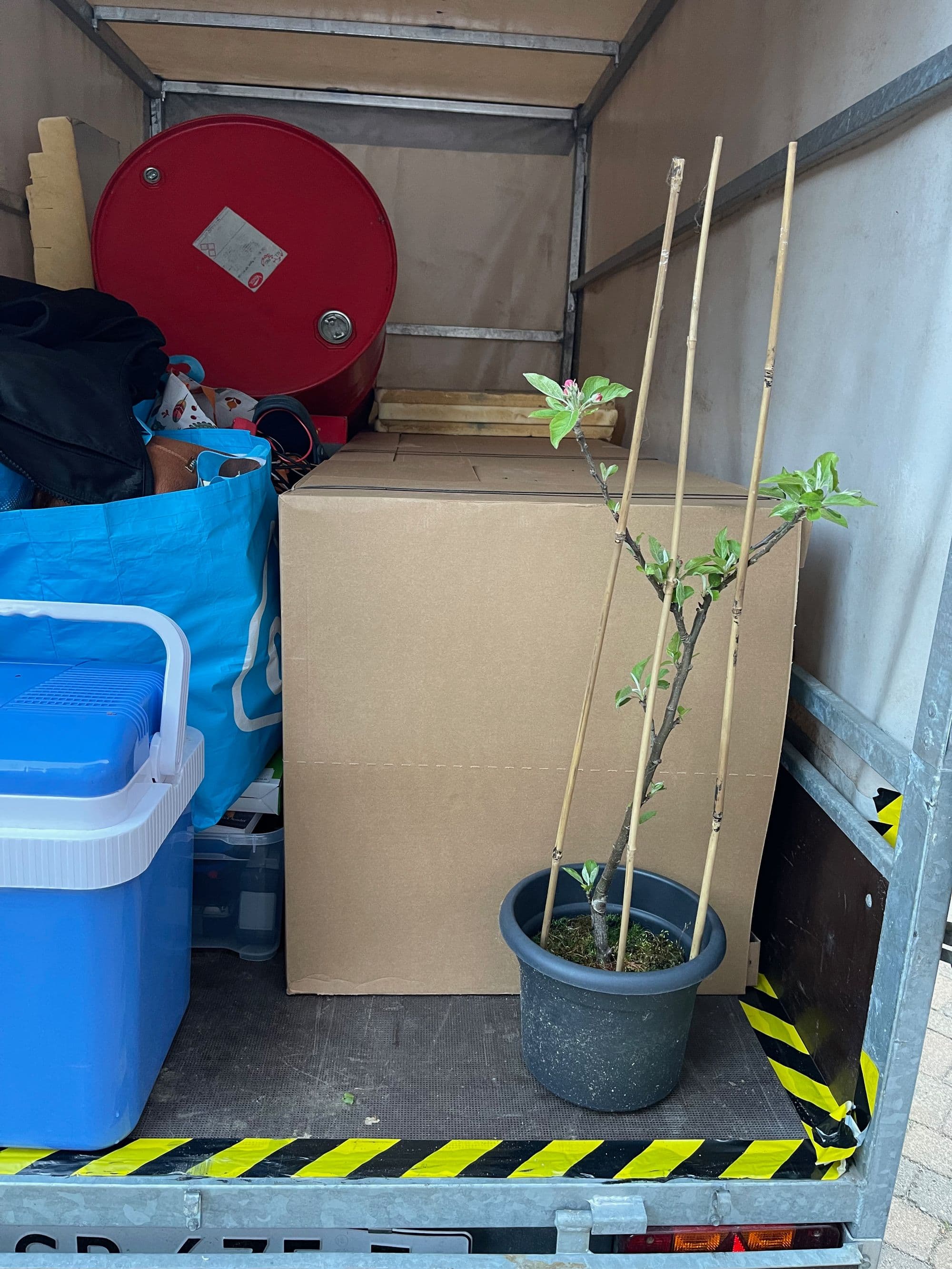 Thuiswerken vanuit Zweden