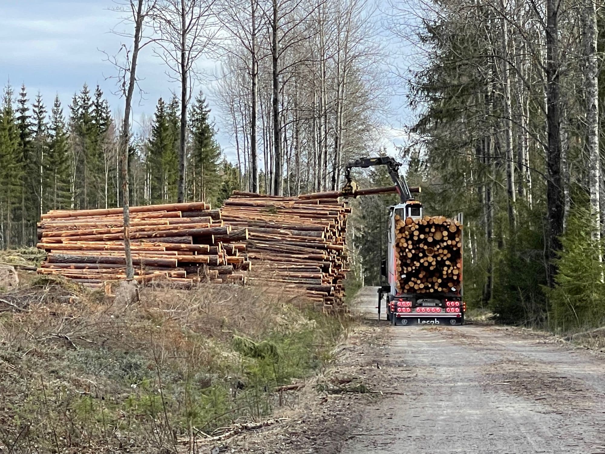 Galerijafbeelding 11