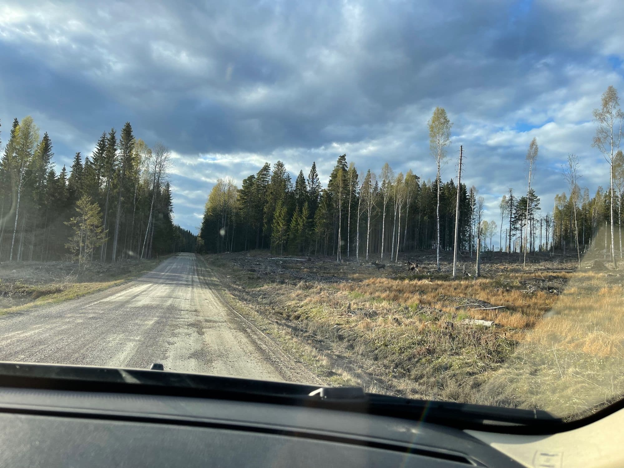 Galerijafbeelding 16