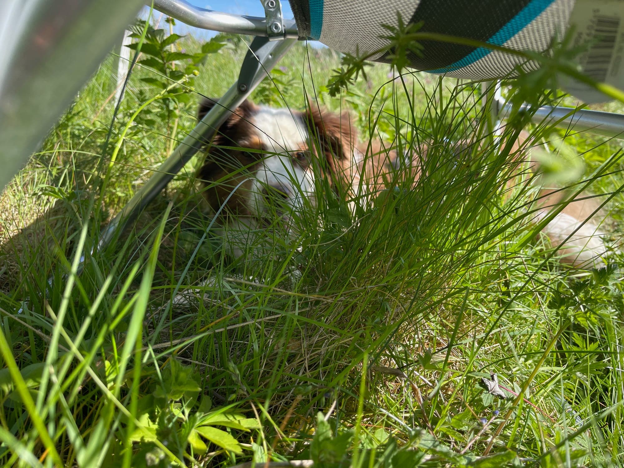 Galerijafbeelding 29