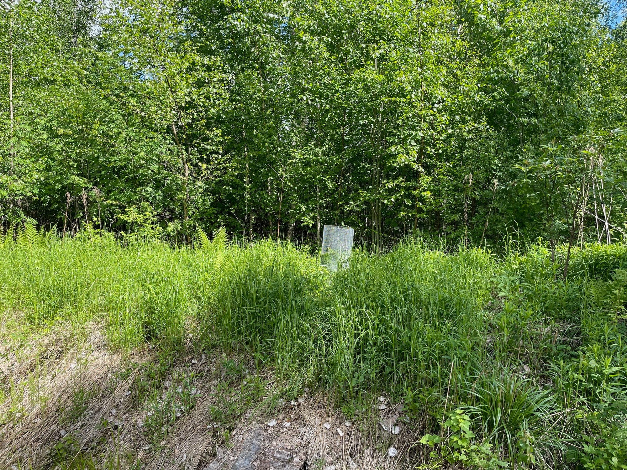 Galerijafbeelding 31