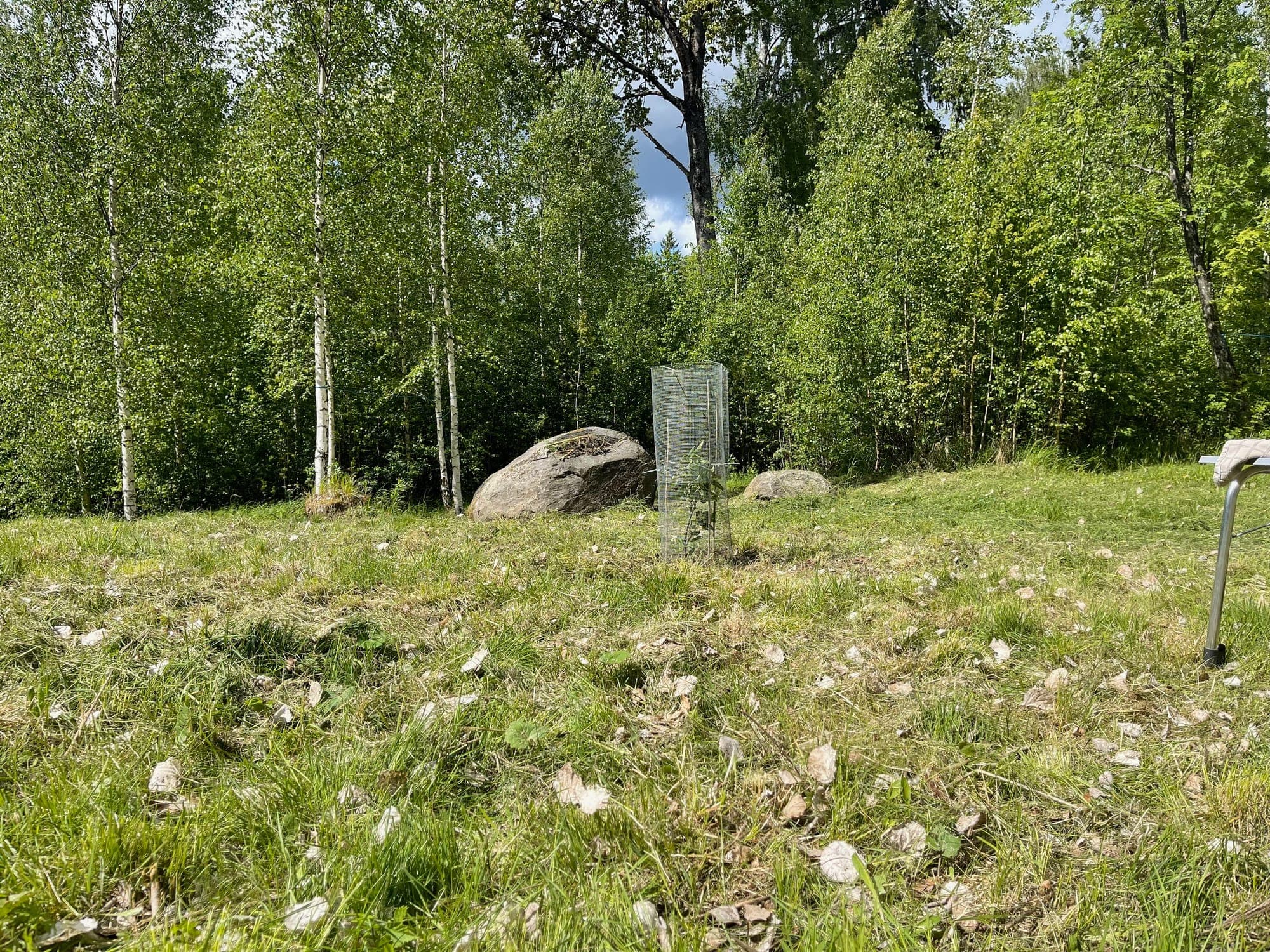 Galerijafbeelding 32