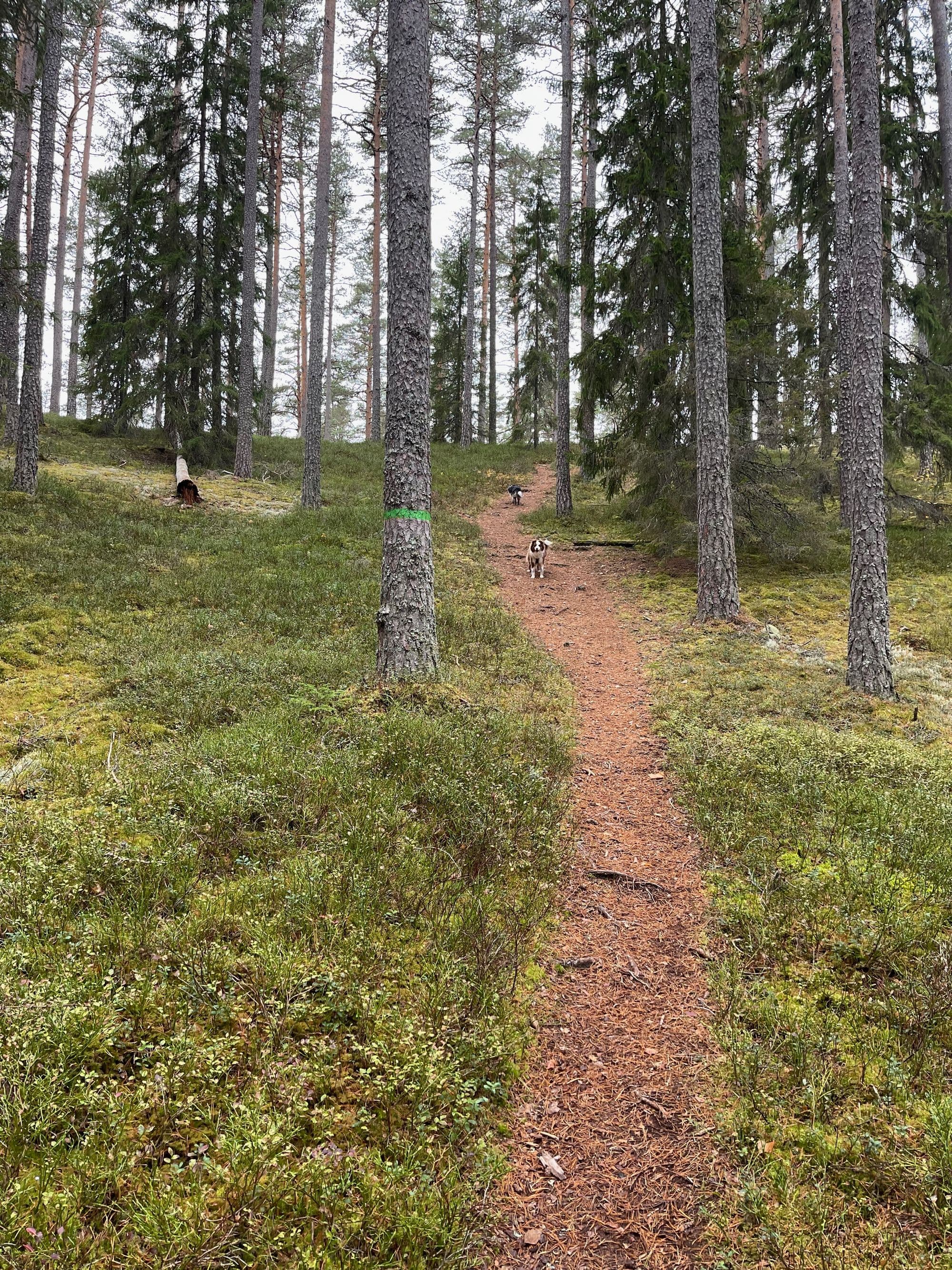 Galerijafbeelding 13