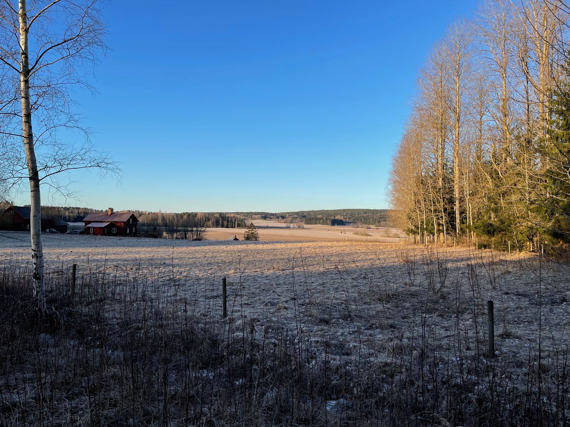 Galerijafbeelding 13