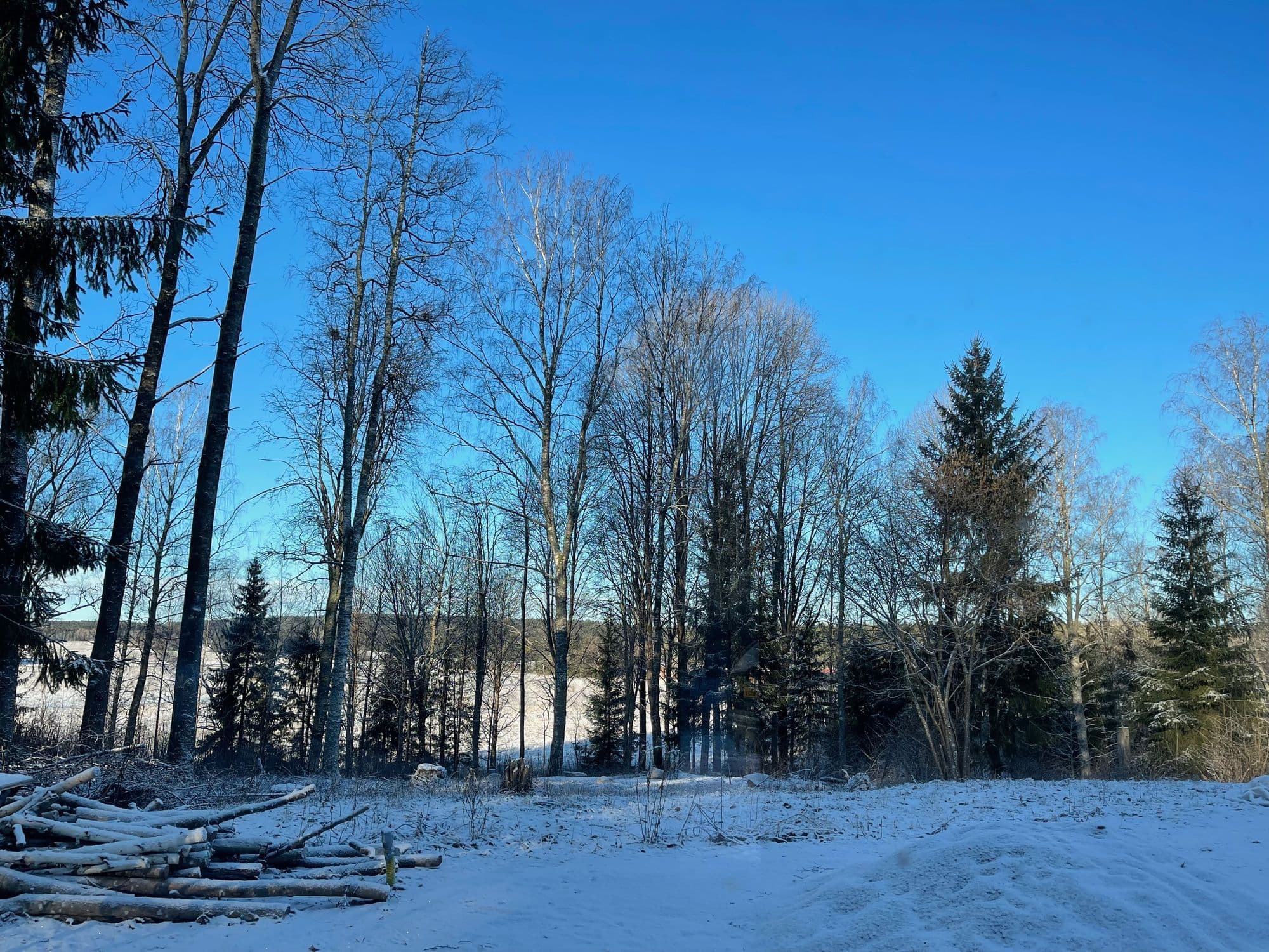 Galerijafbeelding 29