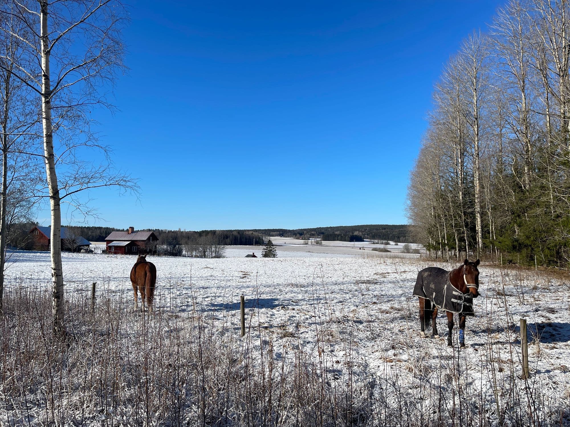 Galerijafbeelding 30