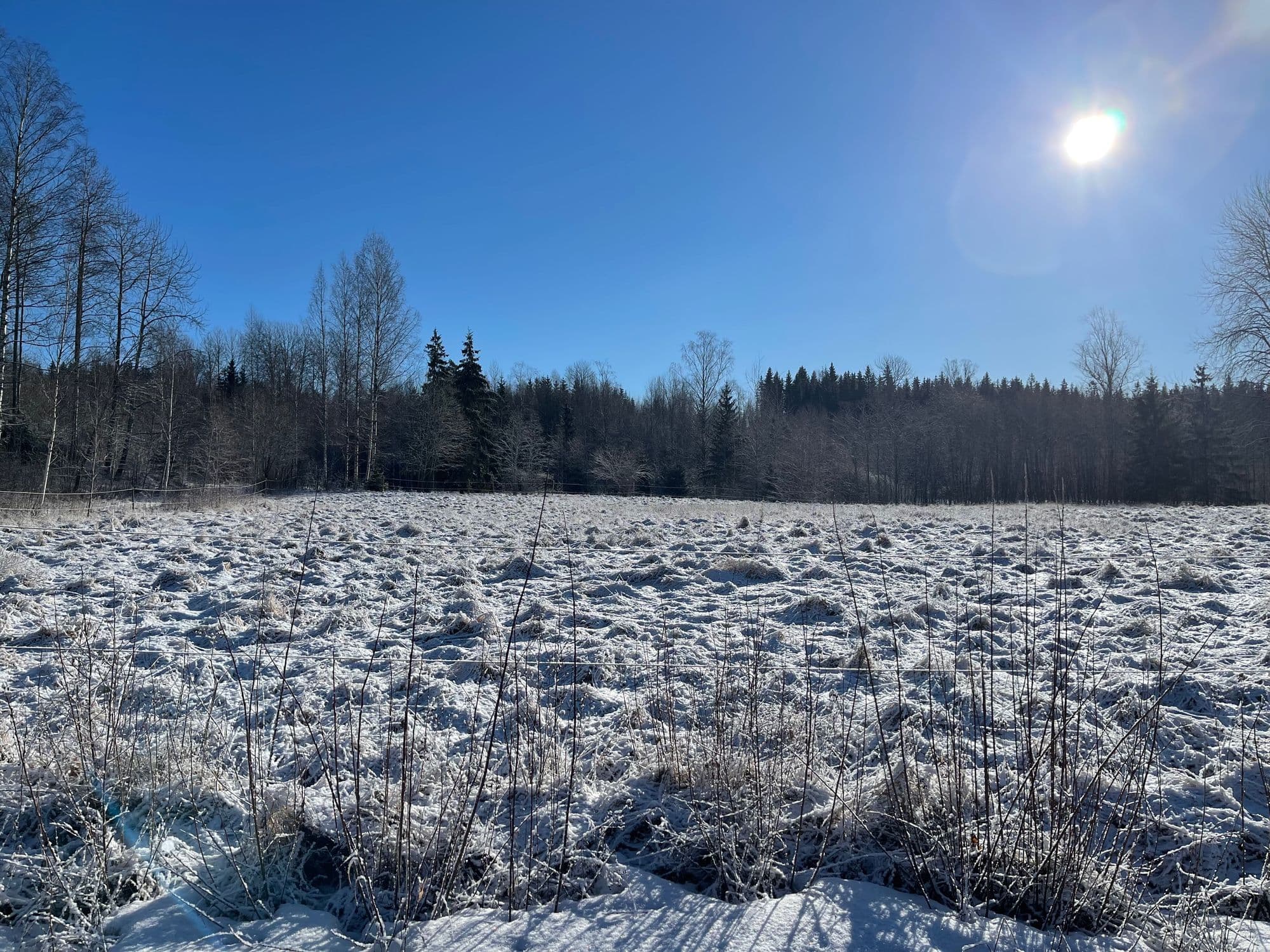 Galerijafbeelding 31