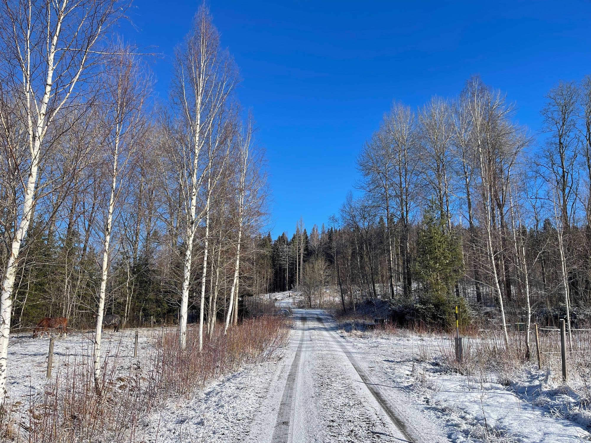 Galerijafbeelding 32