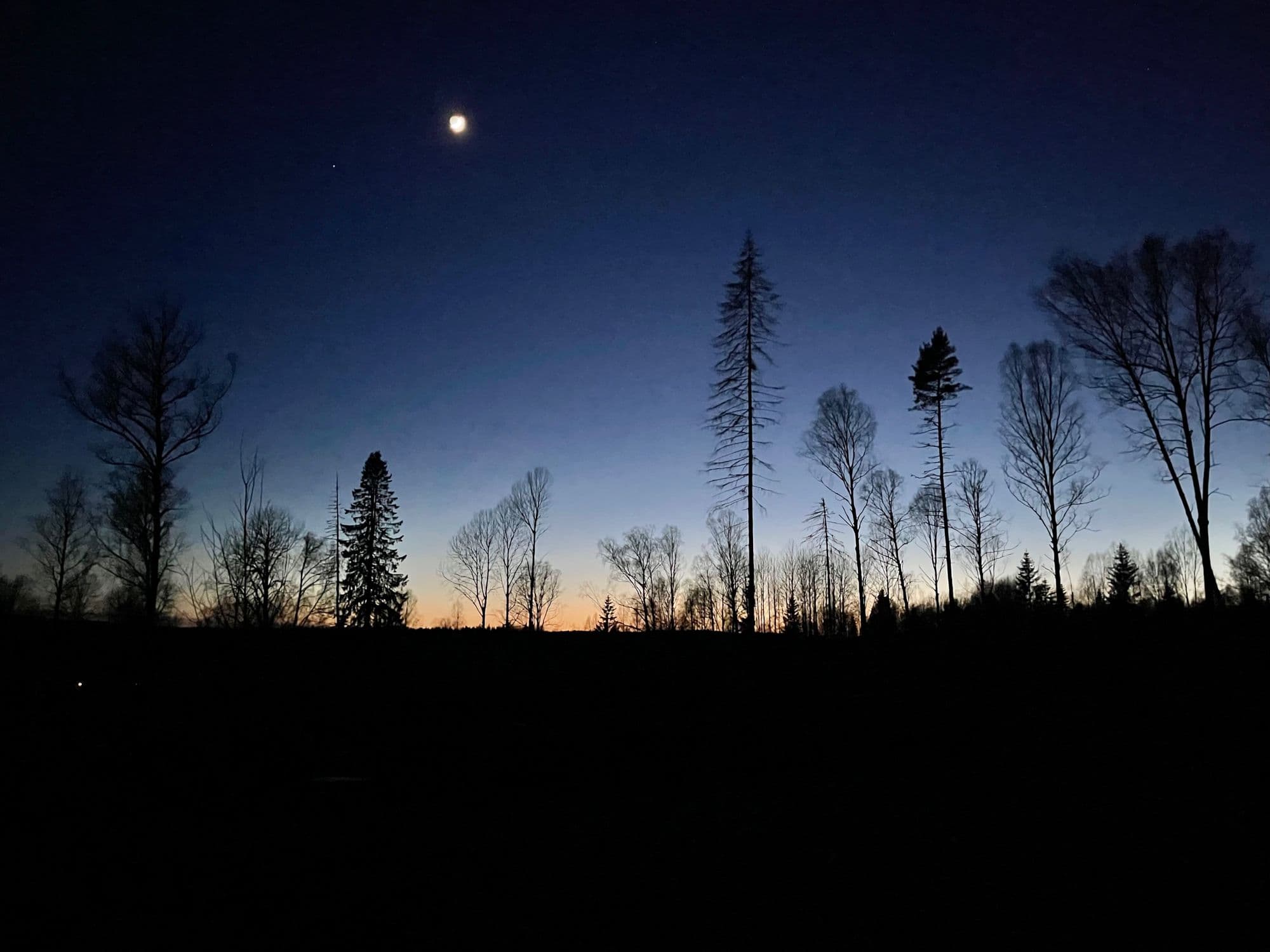 Galerijafbeelding 39