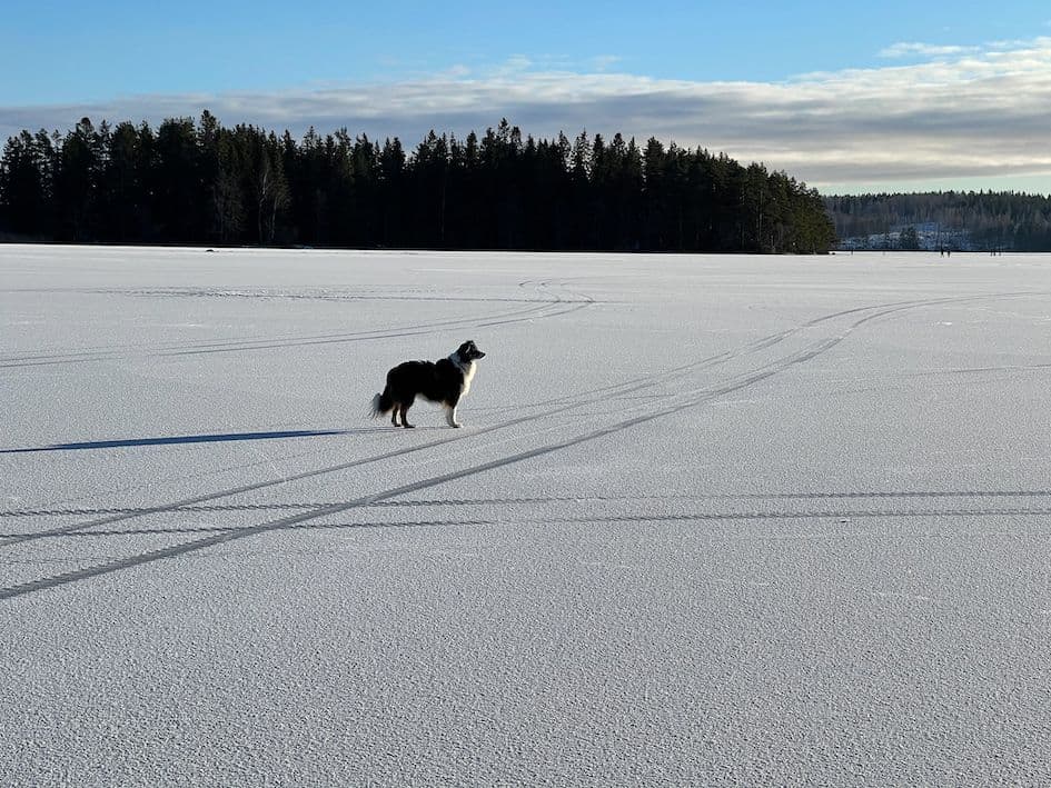 Galerijafbeelding 10