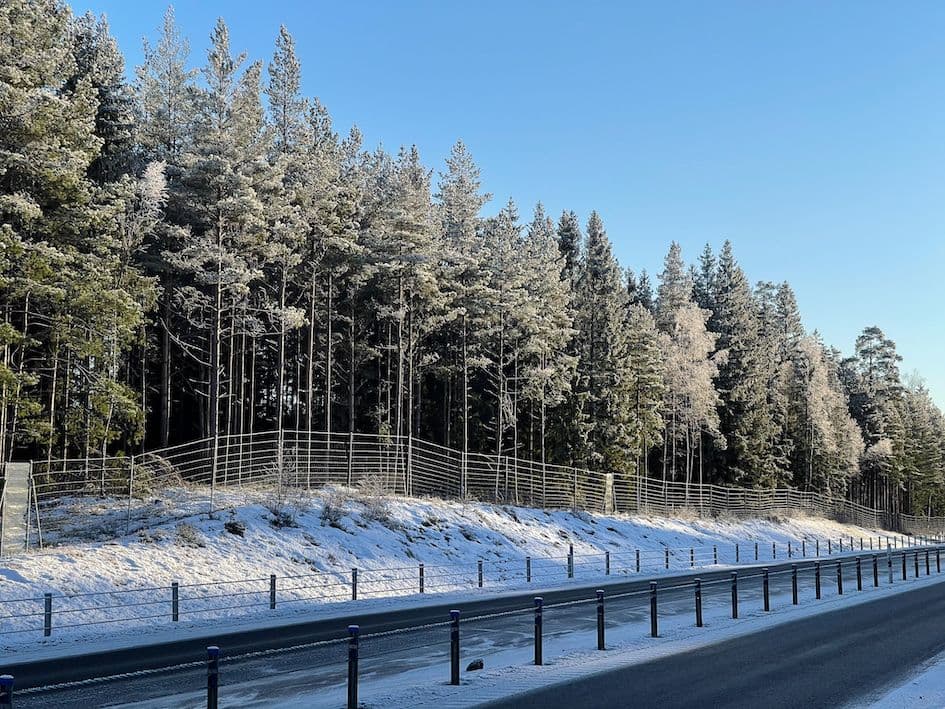 Galerijafbeelding 14