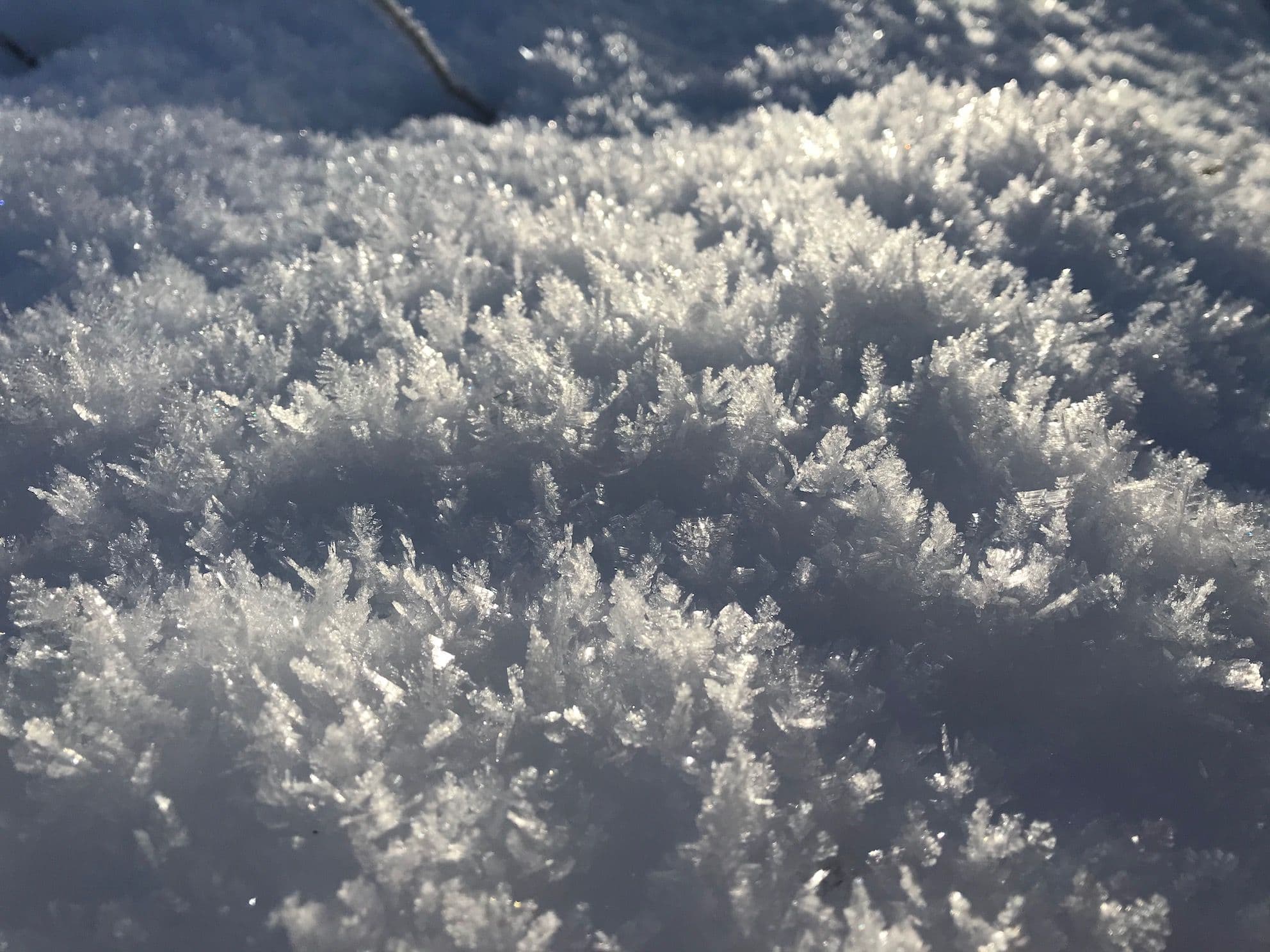 Galerijafbeelding 17