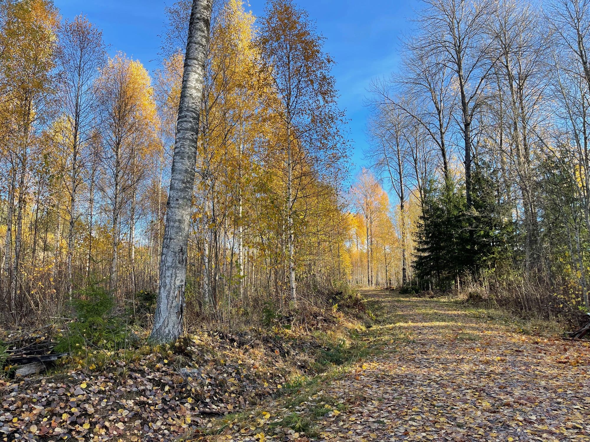 Galerijafbeelding 24