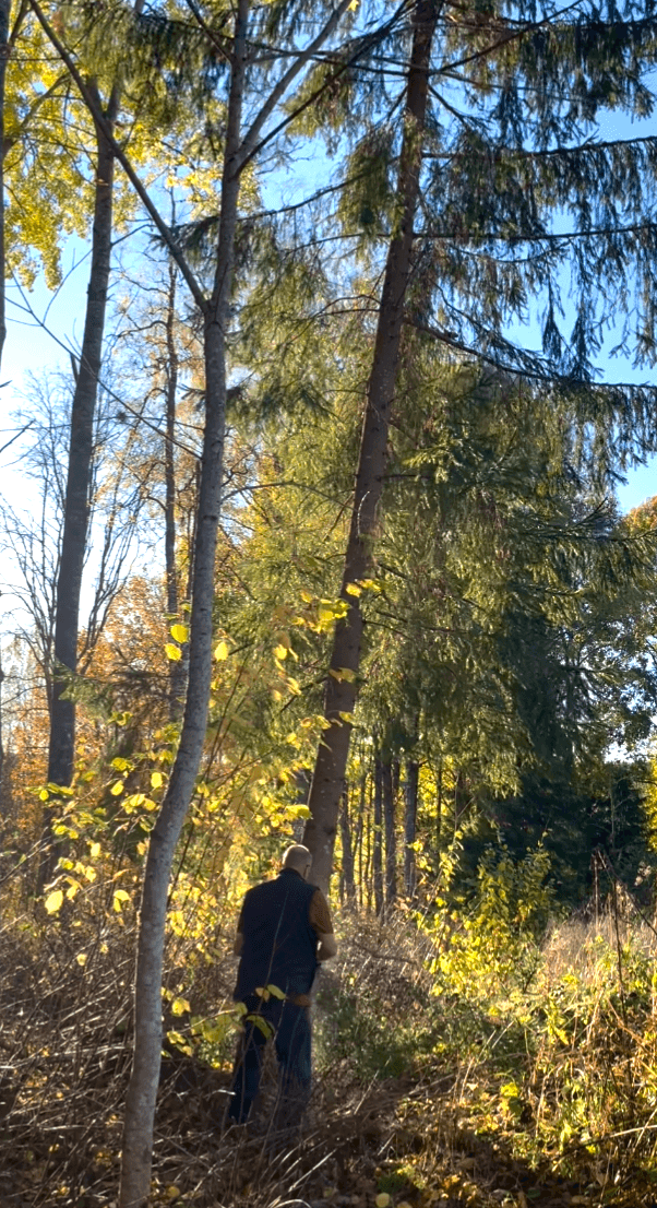 Galerijafbeelding 27