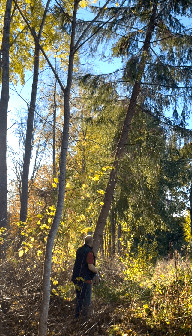 Galerijafbeelding 28