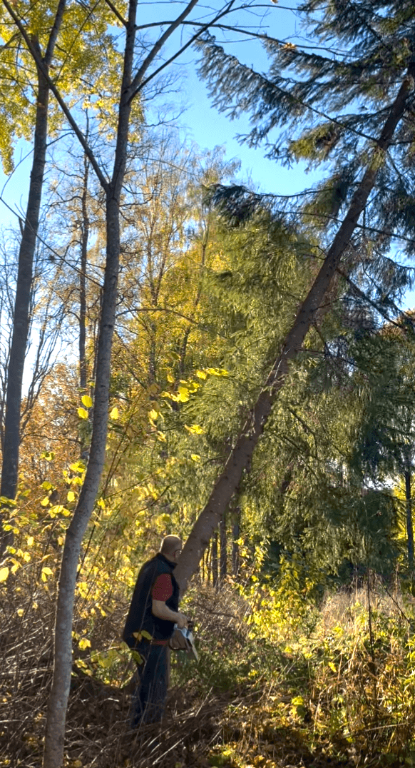 Galerijafbeelding 29