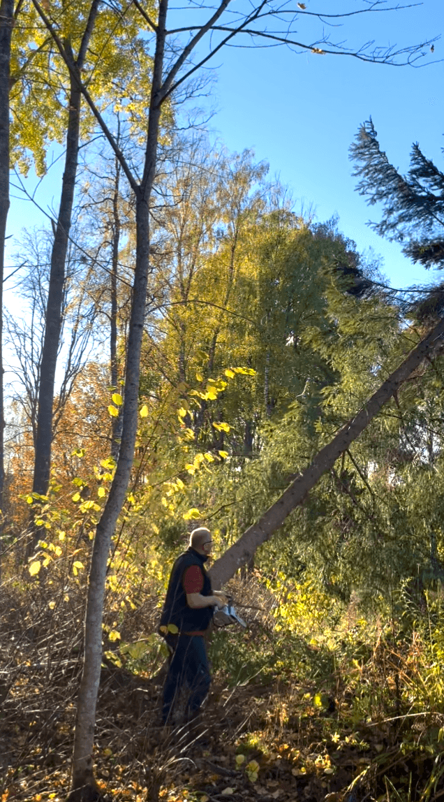 Galerijafbeelding 30