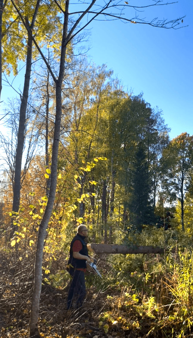 Galerijafbeelding 31