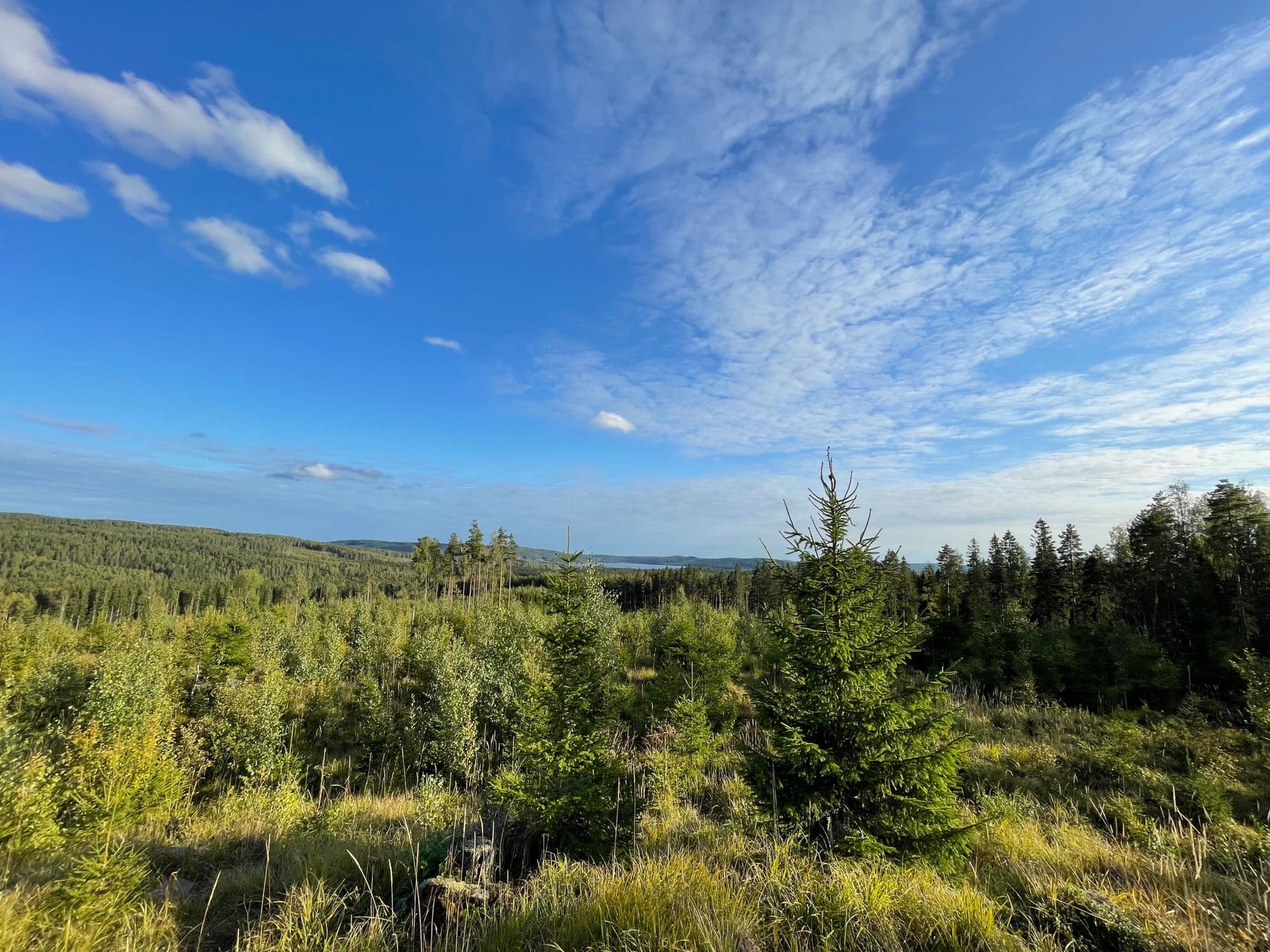 Galerijafbeelding 12