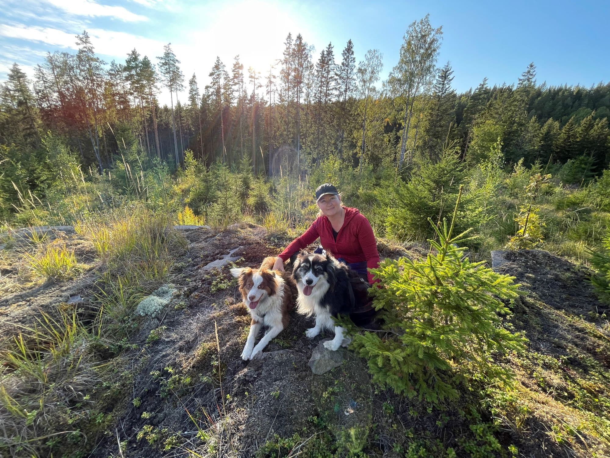 Galerijafbeelding 13