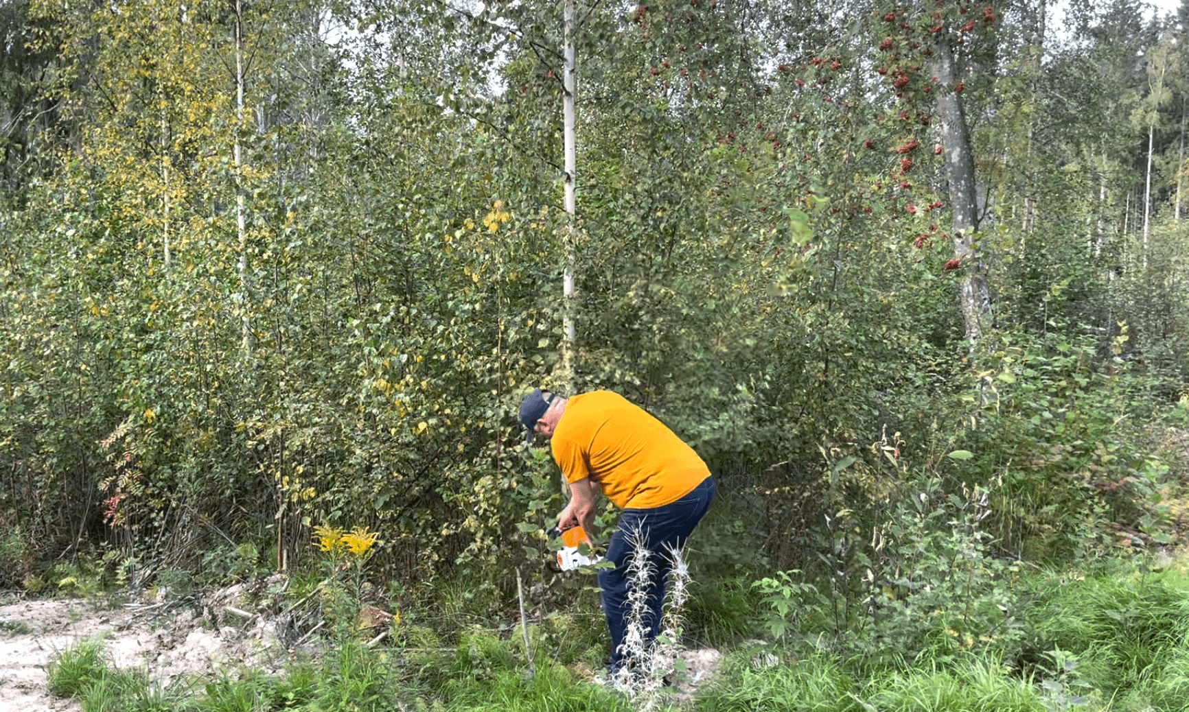 Galerijafbeelding 20