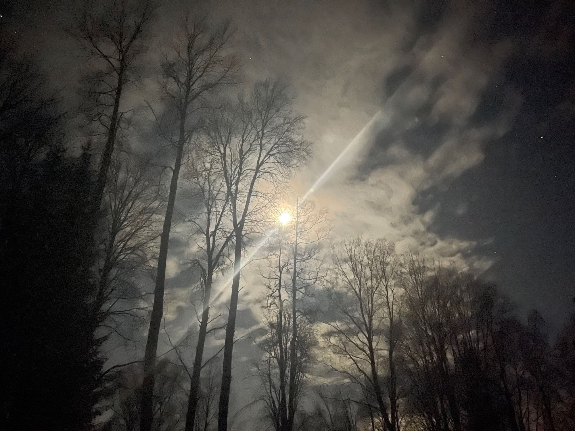 Galerijafbeelding 12