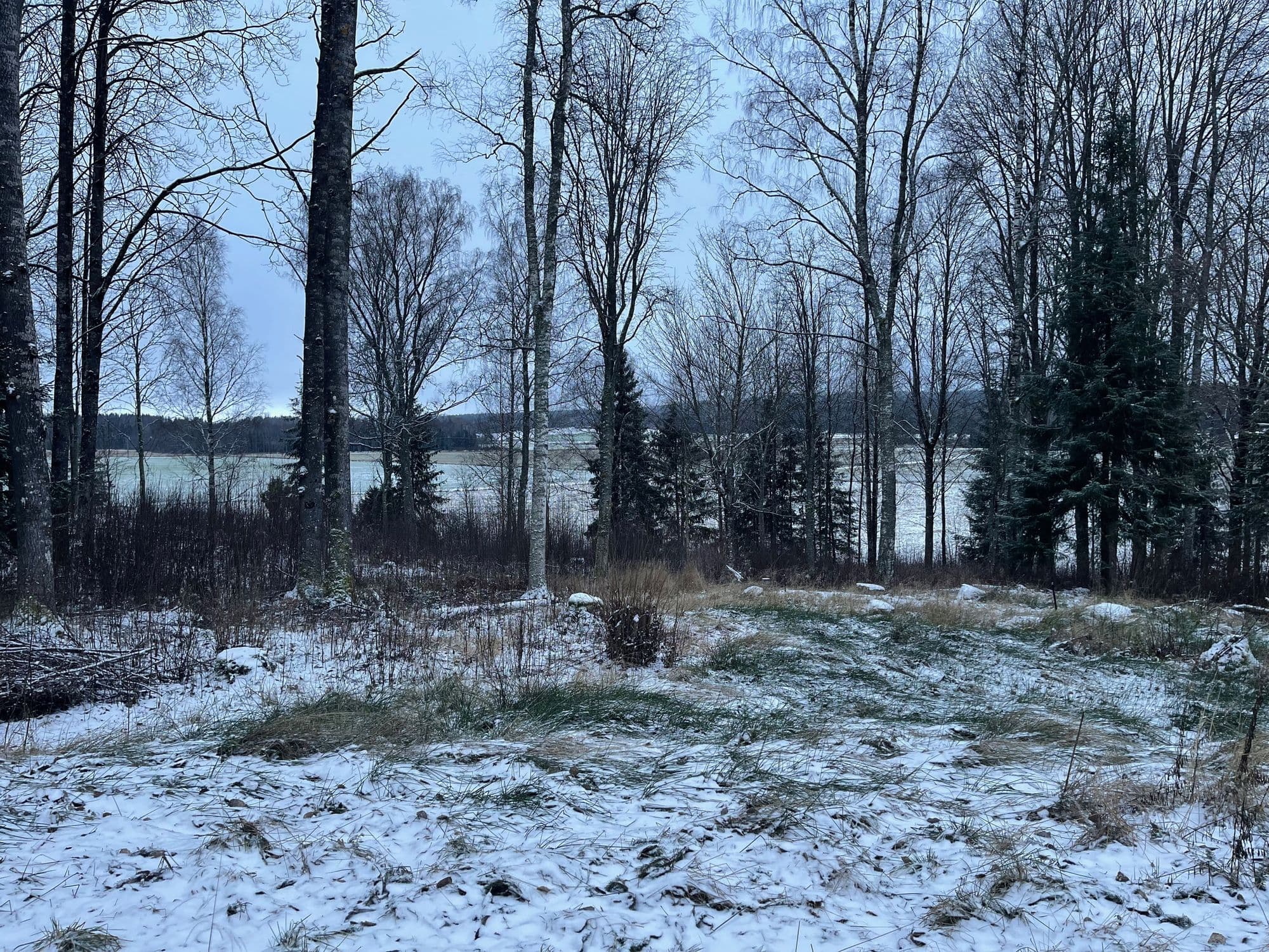 Galerijafbeelding 15